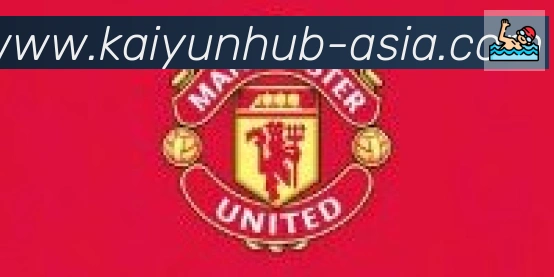 开云合作伙伴